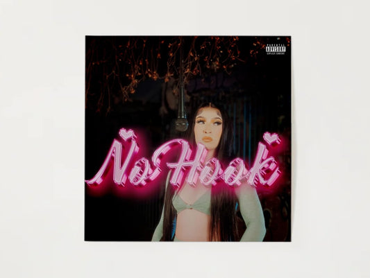 No Hook Poster